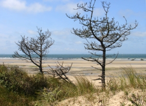 Côte d'Opale
